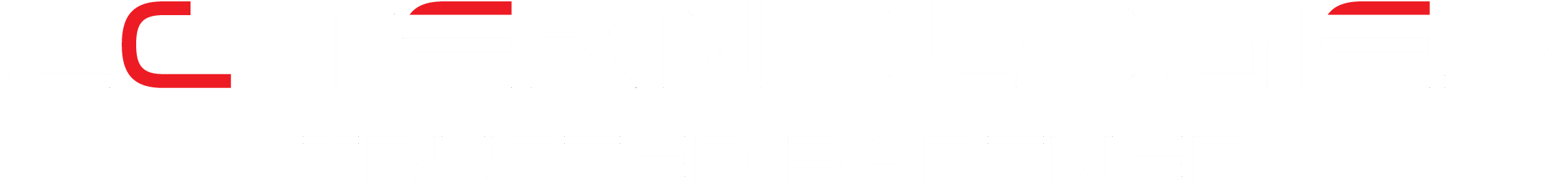 CC-Teknologies Video Surveillance